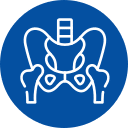 pelvis